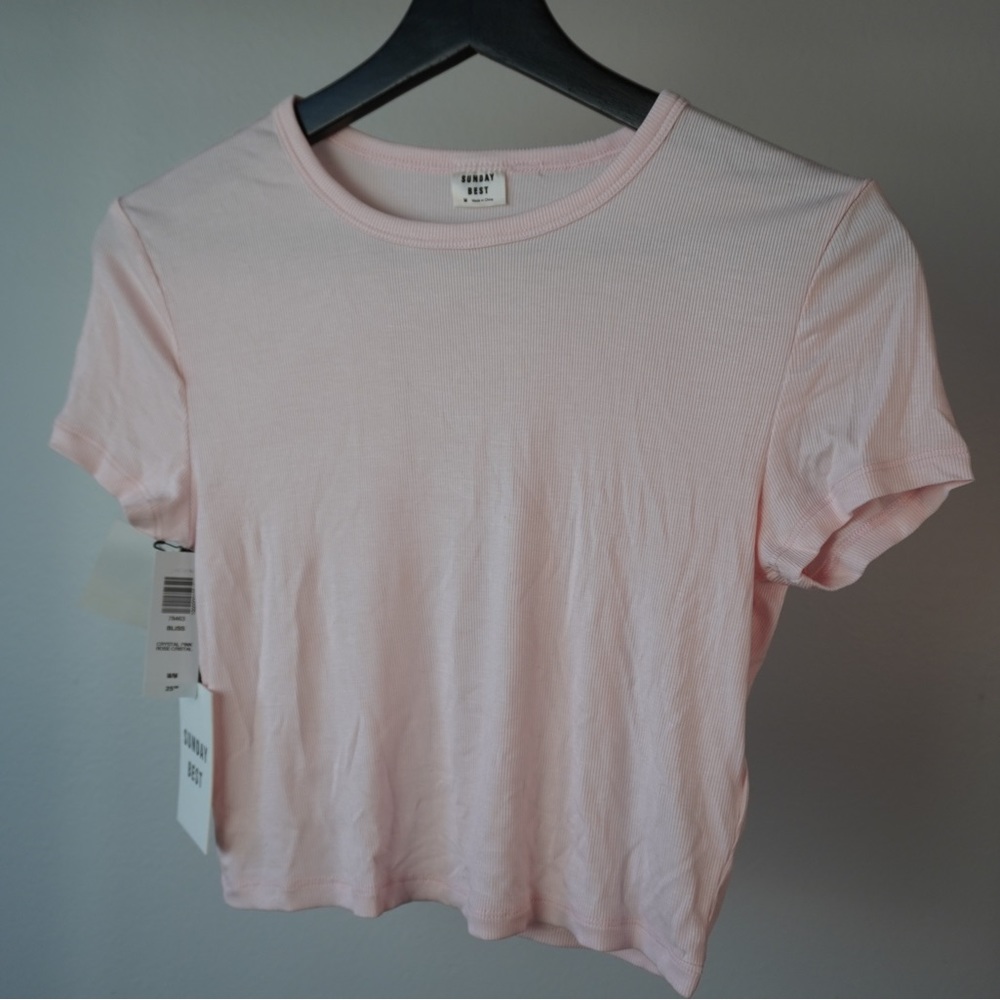 Aritzia crop tee